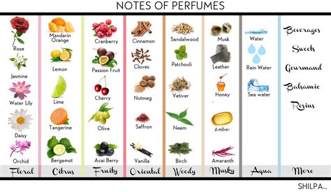 perfume notes smell.